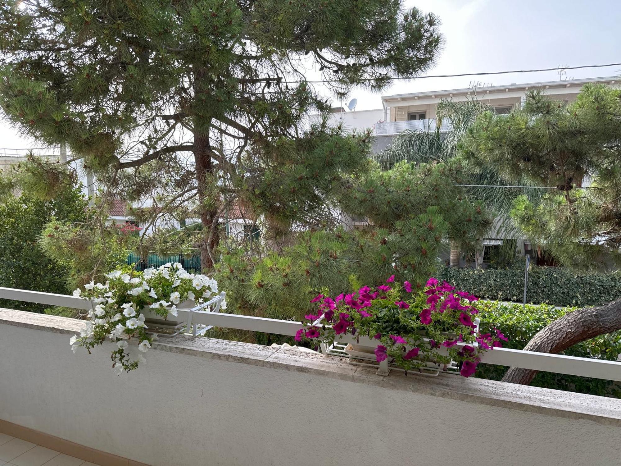 Villa Teresa Maria Porto Cesareo Eksteriør bilde